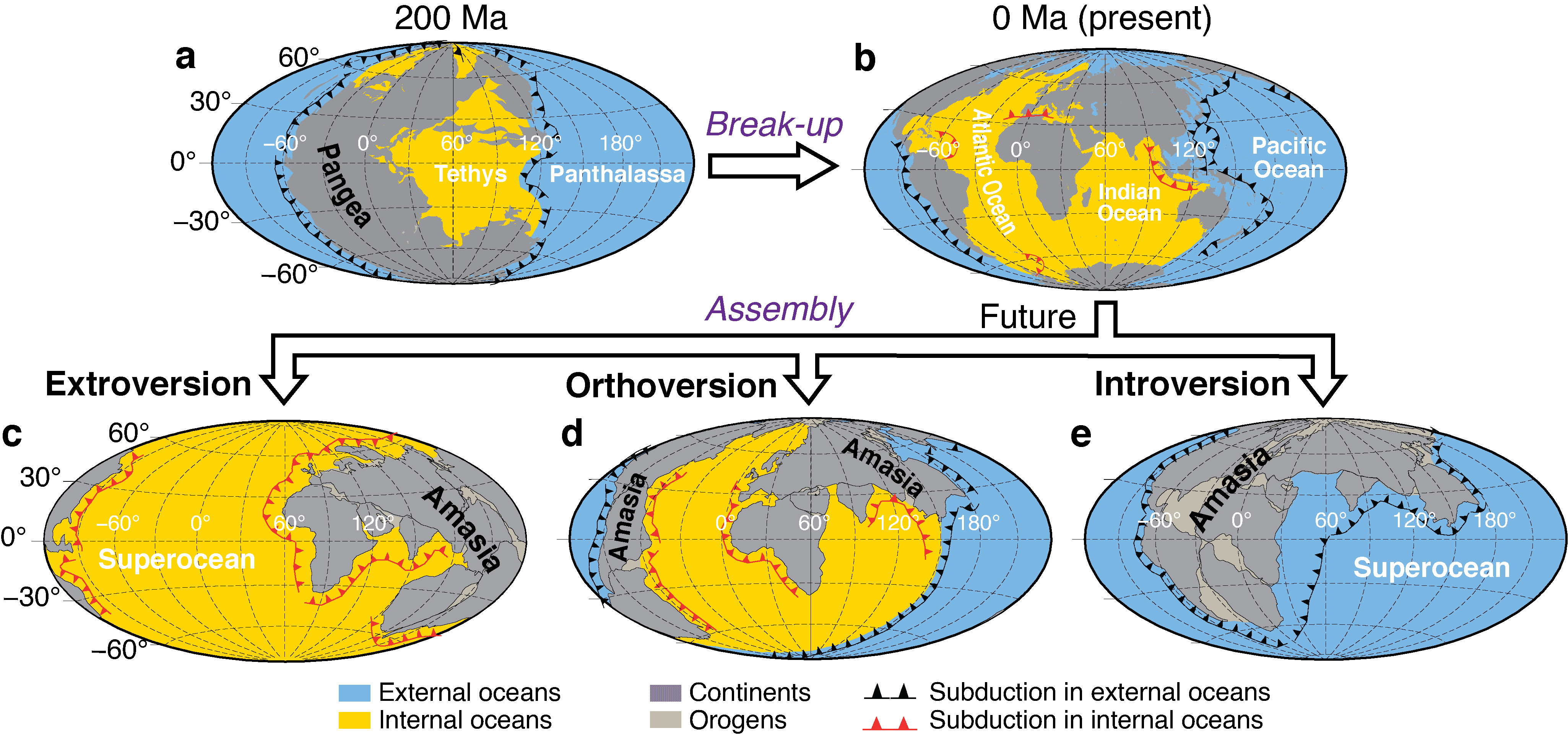 Will Earth’s next supercontinent form by closing the Pacific Ocean or