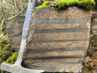 600-million-year-old sedimentary rock